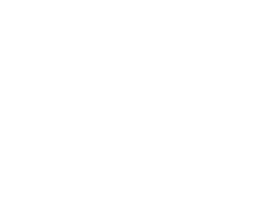 Delegate Wranglers Superstars